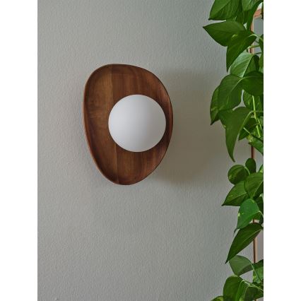 Osram - ACACIA NEST Wall Light 1xG9/5W/230V Acacia