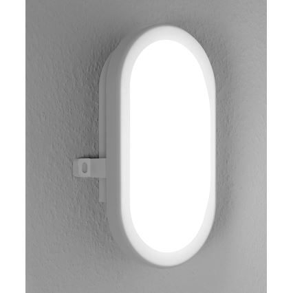 Osram - BULKHEAD LED Outdoor Wall Light, 11 W, 230 V, IP54, White