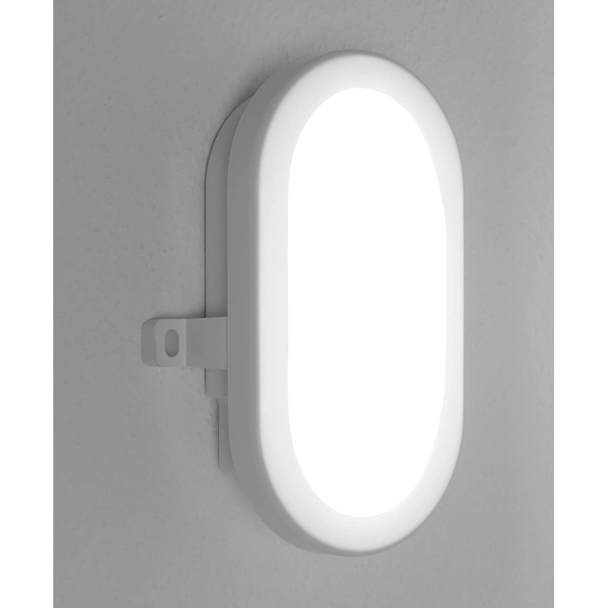Osram - BULKHEAD LED Outdoor Wall Light LED/6W/230V IP54 White
