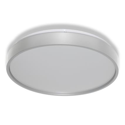 Osram - CEILING LUXO LED Ceiling Light with Dusk Sensor, 18 W / 230 V, Ø 32 cm, Silver