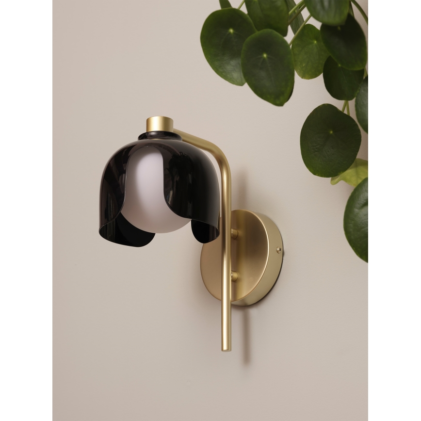 Osram - DECOR COROLLE Wall Light 1xG9/20W/230V Black/Gold