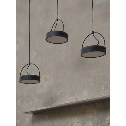 Osram - DECOR PUCK Cable-suspended LED Pendant 3xLED/12W/230V CRI 90 black