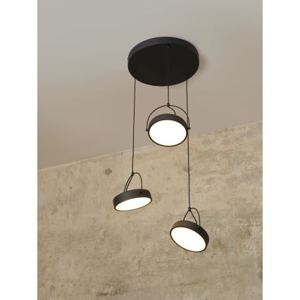 Osram - DECOR PUCK Cable-Suspended LED Pendant 3xLED/12W/230V CRI 90 Black