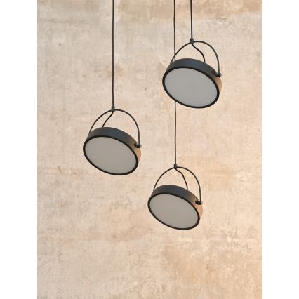 Osram - DECOR PUCK Cable-Suspended LED Pendant 3xLED/12W/230V CRI 90 Black