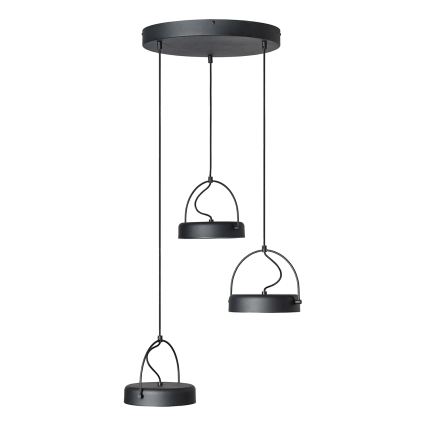 Osram - DECOR PUCK Cable-Suspended LED Pendant 3xLED/12W/230V CRI 90 Black