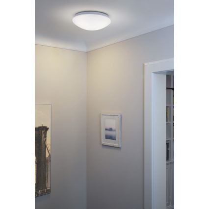 Osram - ESSENTIAL LED Ceiling Luminaire, 13W/230V, 6500K, dia. 25 cm