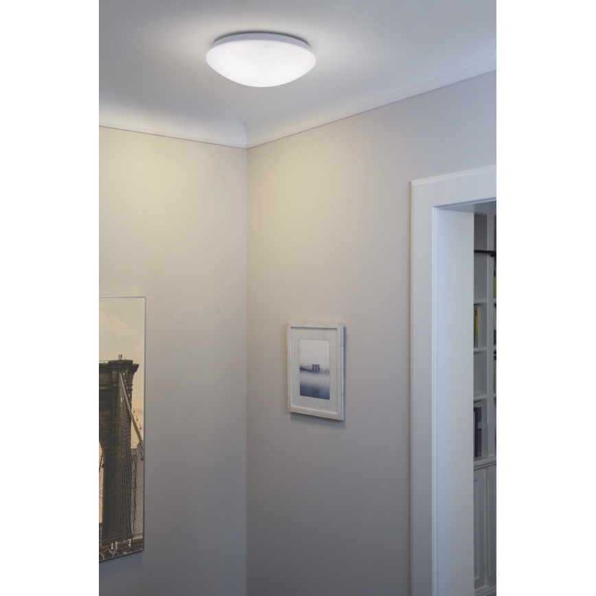 Osram - ESSENTIAL LED Ceiling Luminaire, 13W/230V, 6500K, dia. 25 cm