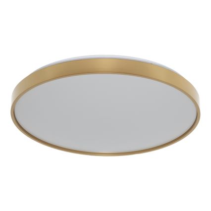 Osram - LED Ceiling Light CEILING LUXO LED/36W/230V Ø 49 cm Gold