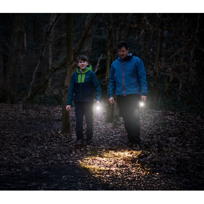 Osram - Dimmable LED torch LEDINSPECT TORCH 350 ESSENTIAL LED/4W/2xAAA IP44