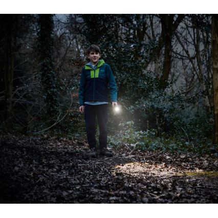 Osram - Dimmable LED torch LEDINSPECT TORCH 350 ESSENTIAL LED/4W/2xAAA IP44