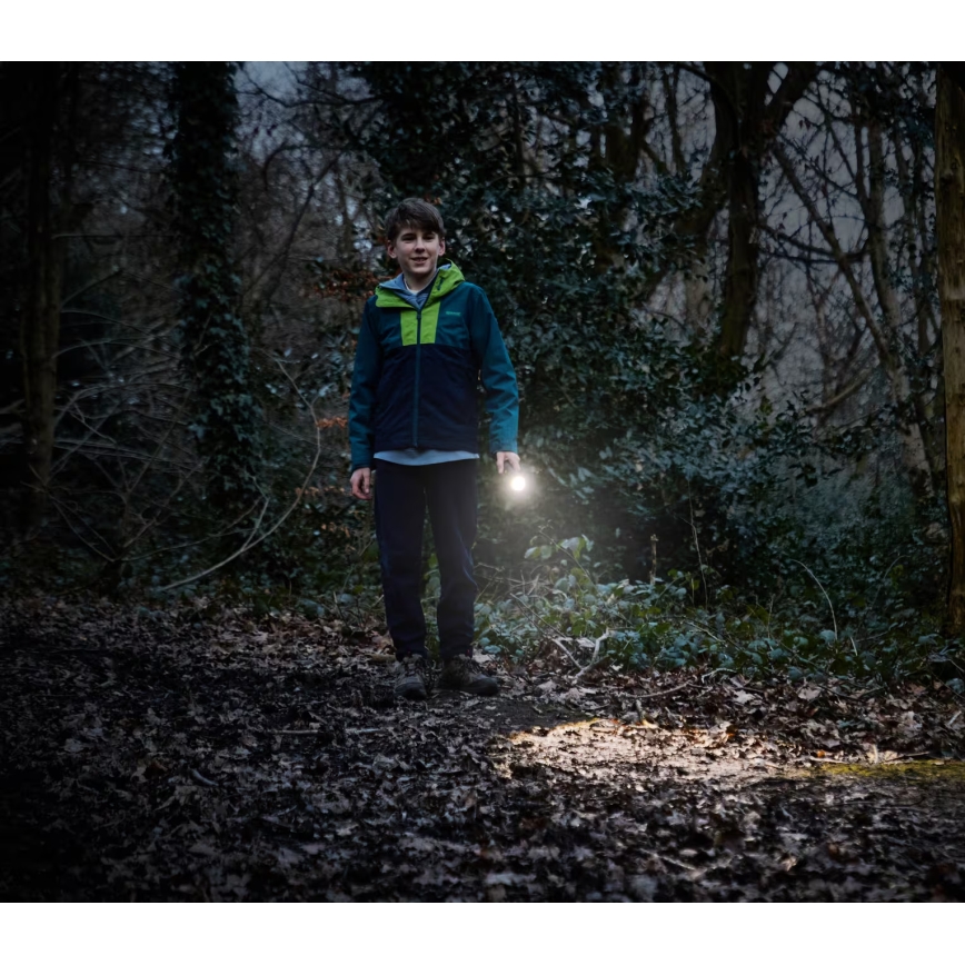 Osram - Dimmable LED torch LEDINSPECT TORCH 350 ESSENTIAL LED/4W/2xAAA IP44