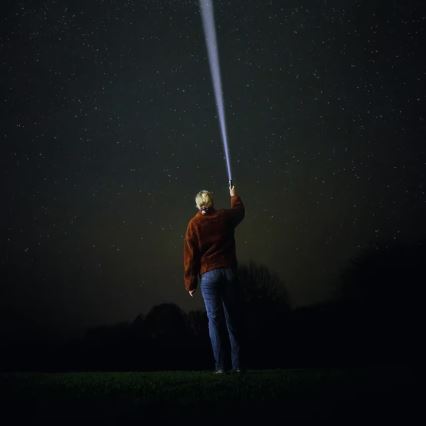 Osram - Dimmable LED Rechargeable Torch LEDINSPECT PRO TORCH 500 LED/6W/3,7V 2200 mAh IP44