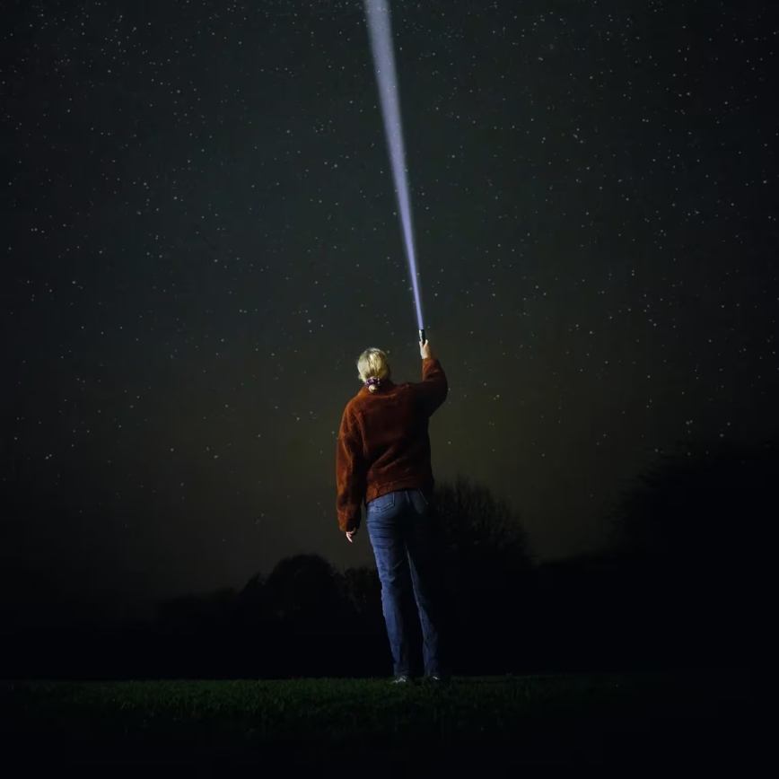 Osram - Dimmable LED Rechargeable Torch LEDINSPECT PRO TORCH 500 LED/6W/3,7V 2200 mAh IP44