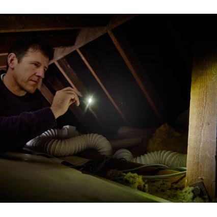 Osram - LED Dimmable Inspection Torch LEDINSPECT TORCH 250 ESSENTIAL LED/2W/2xAAA IP44