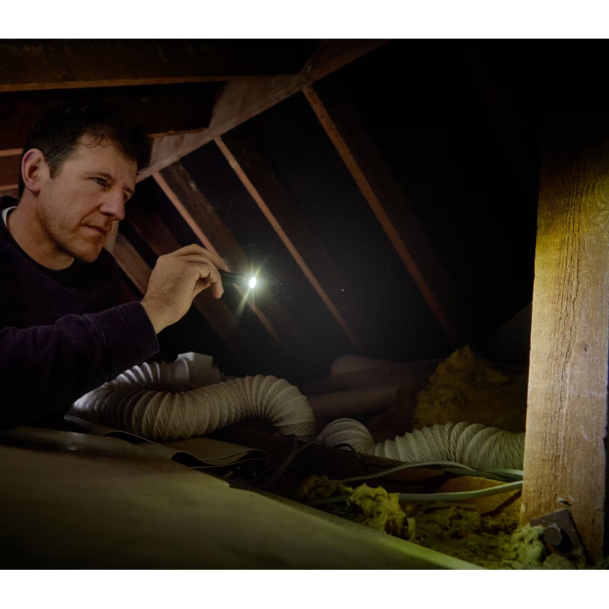 Osram - LED Dimmable Inspection Torch LEDINSPECT TORCH 250 ESSENTIAL LED/2W/2xAAA IP44