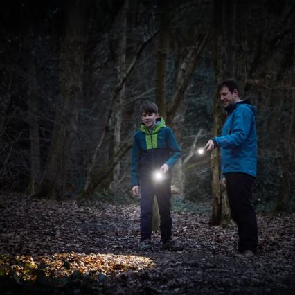 Osram - Dimmable LED Inspection Torch LEDINSPECT TORCH 450 ESSENTIAL LED/6W/3xAAA IP44