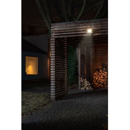Osram - LED Floodlight with Sensor ENDURA LED/50W/230V 4000K IP44