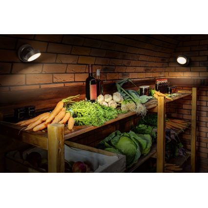 Osram - LED Dimmable Rechargeable Touch Wall Light NIGHTLUX LED/1,8W/5V Black