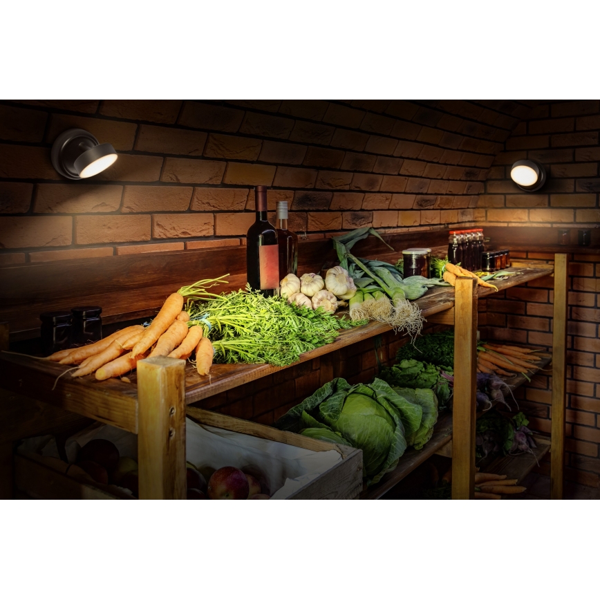 Osram - LED Dimmable Rechargeable Touch Wall Light NIGHTLUX LED/1,8W/5V Black