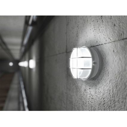 Outdoor Ceiling Light 1xE27/100W/230V