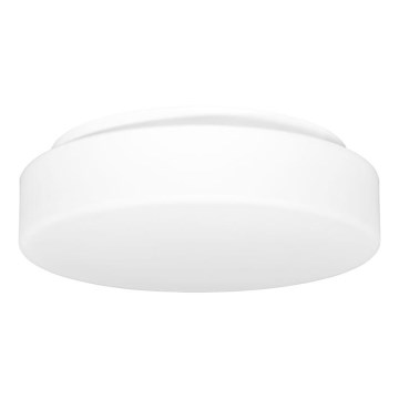 Outdoor ceiling light HECTOR 1xE27/60W/230V d. 30 cm IP44 opal white