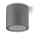 Outdoor ceiling light QUAZAR 1xGU10/20W/230V IP44