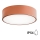 Outdoor ceiling light with a sensor CLEO 2xE27/24W/230V d. 30 cm copper IP54