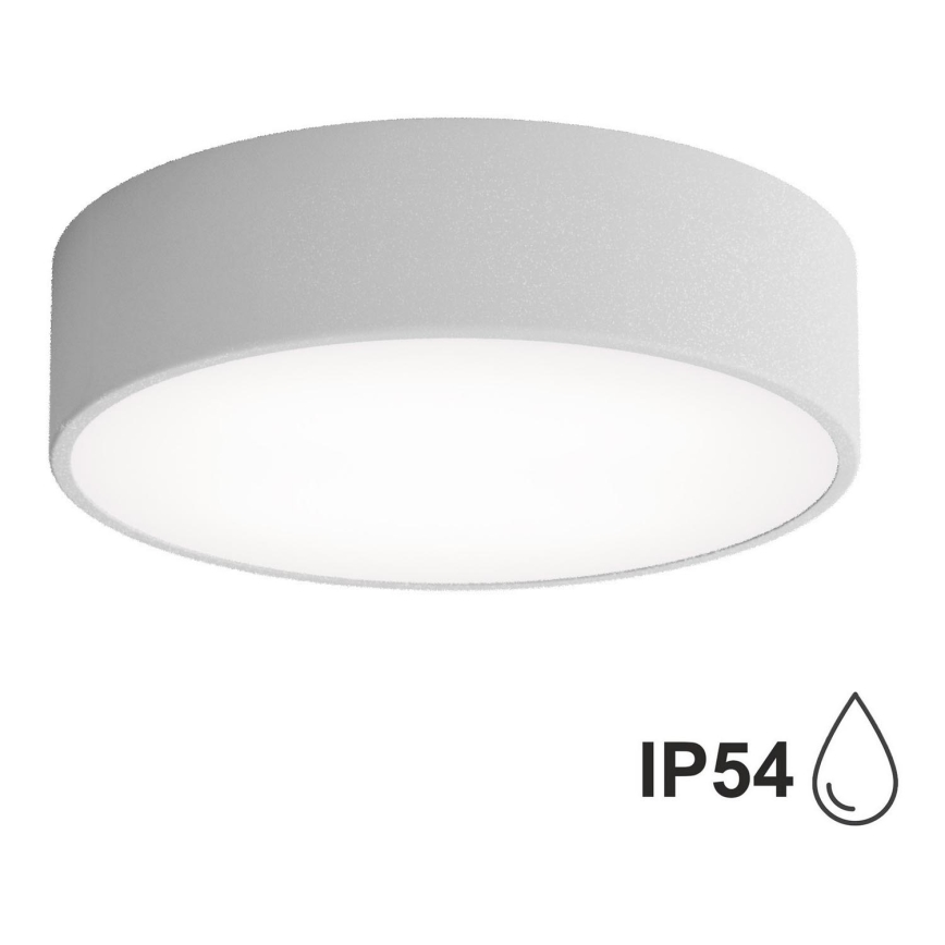 Outdoor ceiling light with a sensor CLEO 2xE27/24W/230V d. 30 cm grey IP54