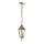 Outdoor chandelier on a chain 1xE27/60W/230V golden IP44