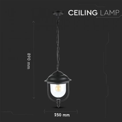 Outdoor chandelier on a chain 1xE27/60W/230V IP44 black