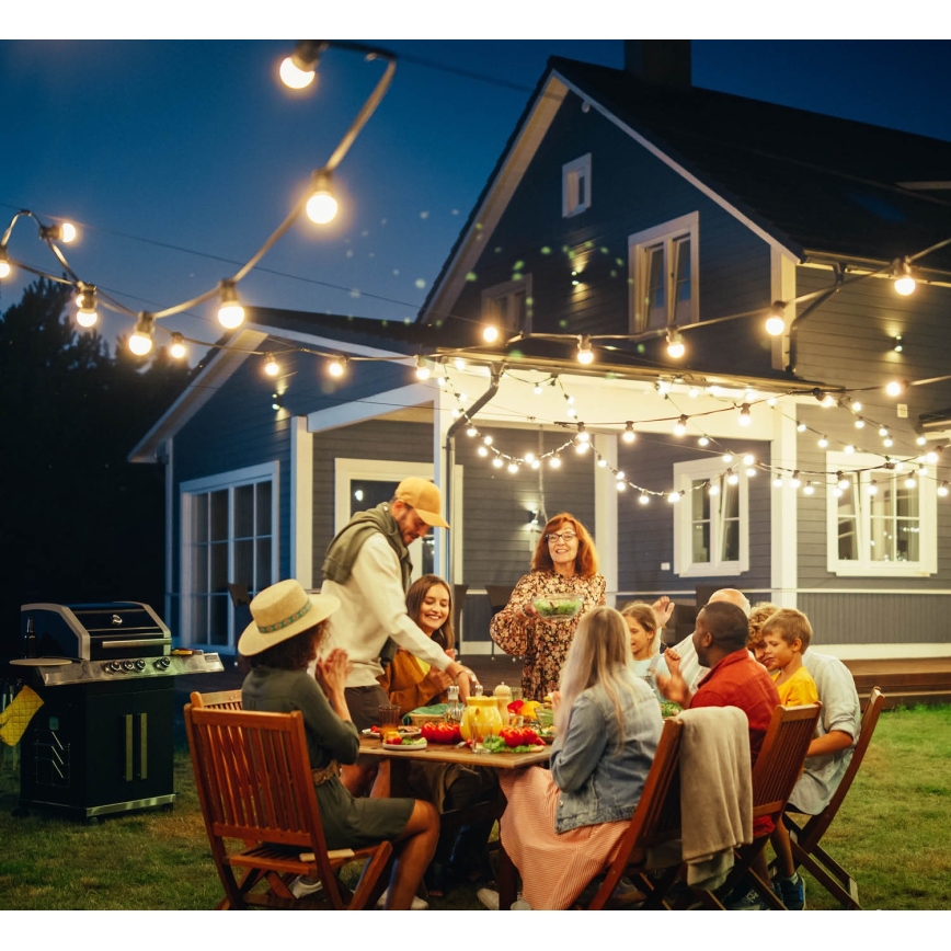 Outdoor decorative chain MIMOSA 10xE27/1,3W/230V IP44 10 m
