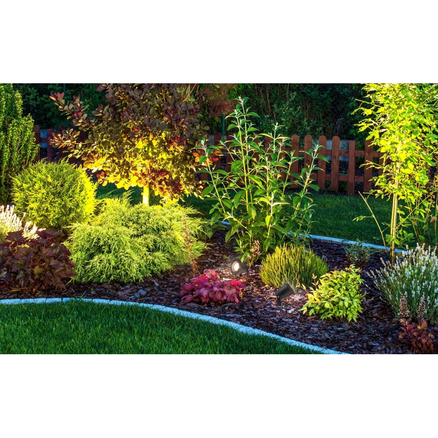Outdoor lamp FLORI RAY 1xGU10/6W/230V IP65