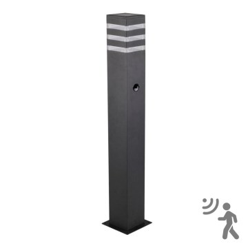 Outdoor lamp with sensor TEKSAS 1xE27/12W/230V IP44 74 cm anthracite