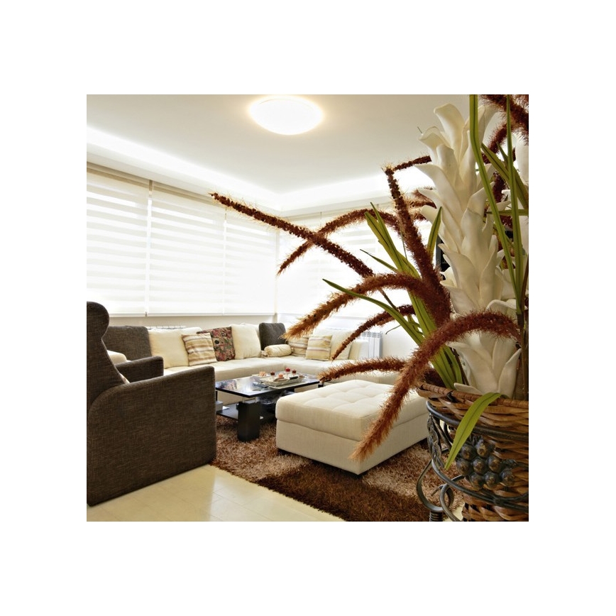 Outdoor LED ceiling light NELA LED/32W/230V IP44