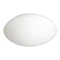 Outdoor LED ceiling light PETRA LED/12W/230V IP44