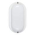 Outdoor LED Wall Light 6W/230V IP54 White