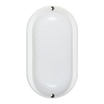 Outdoor LED Wall Light 6W/230V IP54 White