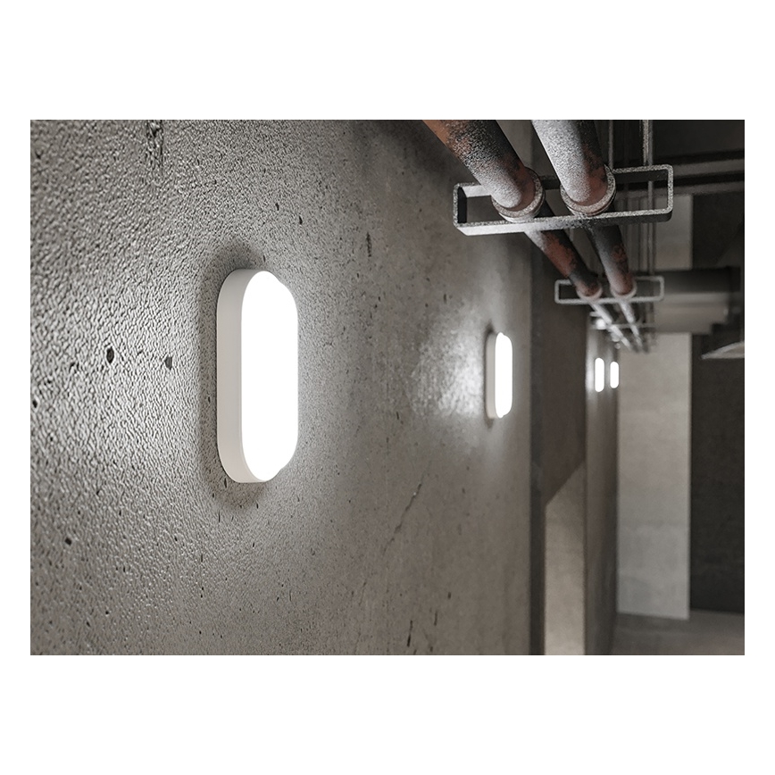 Outdoor LED Wall Light 6W/230V IP54 White