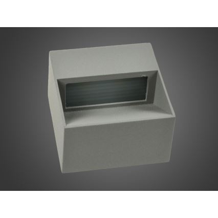 Outdoor LED wall light NINION LED/2W/230V IP54