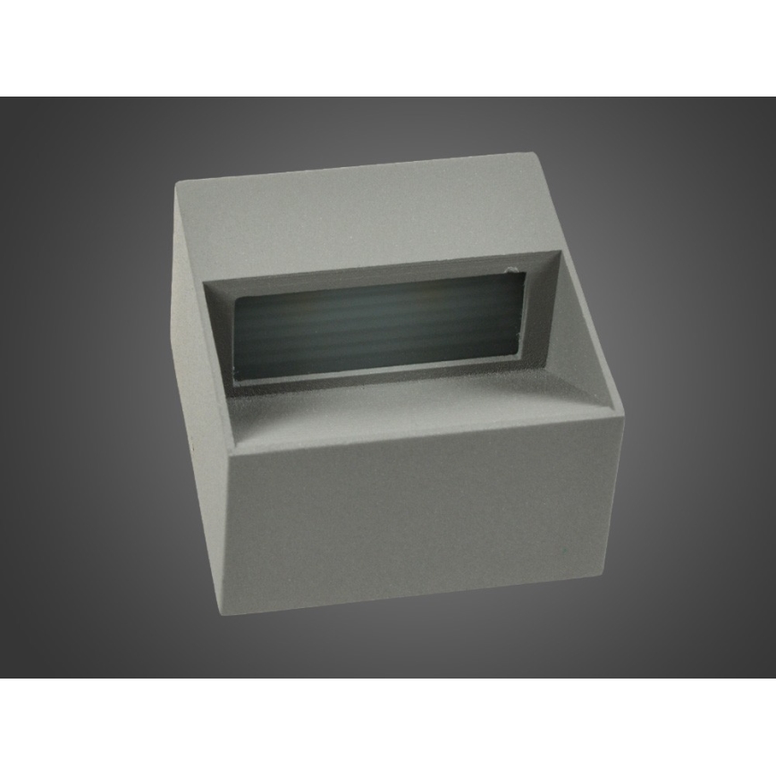 Outdoor LED wall light NINION LED/2W/230V IP54