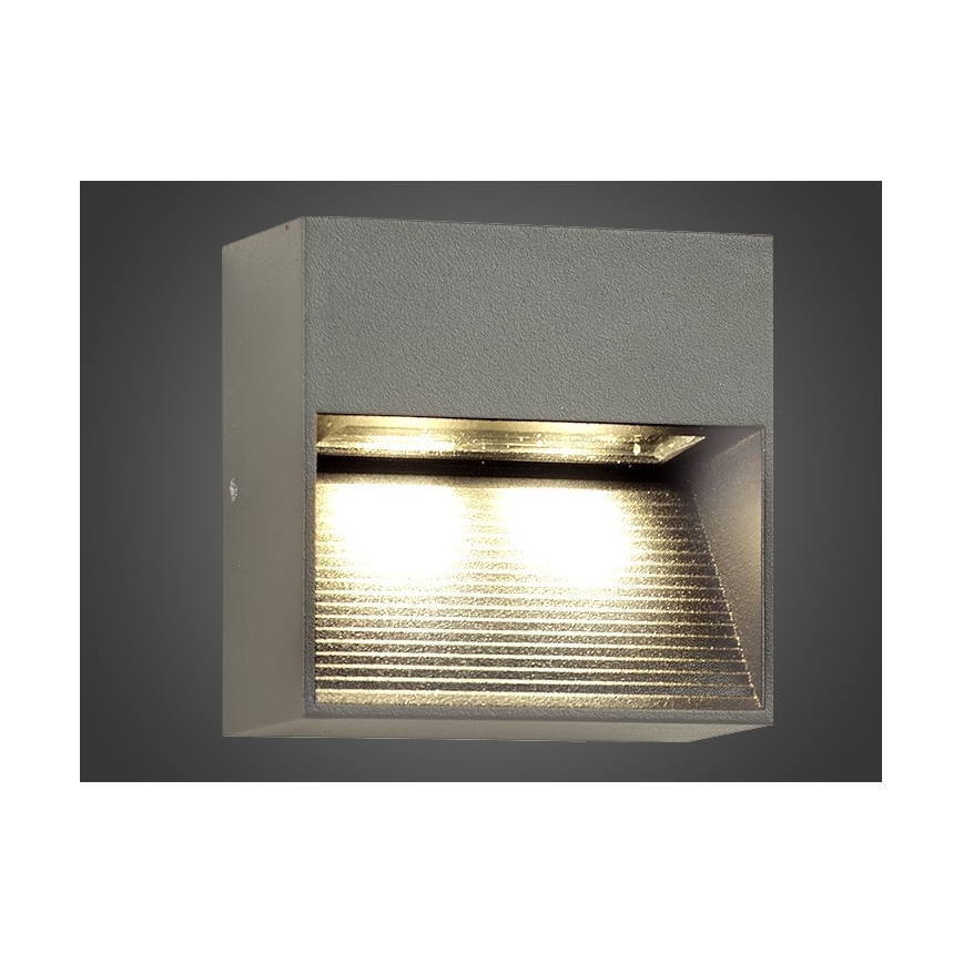 Outdoor LED wall light NINION LED/2W/230V IP54