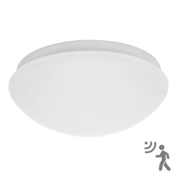 Outdoor light with a sensor 1xE27/25W/230V IP44