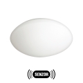 Outdoor light with a sensor PETRA 1xE27/60W/230V opal glass IP44