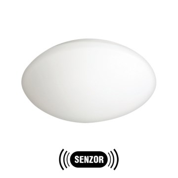 Outdoor light with a sensor PETRA 1xE27/60W/230V opal glass IP44