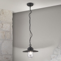 Outdoor pendant light EDWARD 1xE27/60W/230V IP44 black