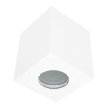 Outdoor spoltlight SARA 1xGU10/30W/230V IP54 white