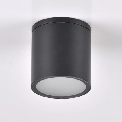 Outdoor spotlight OHIO 1xGU10/10W/230V IP54 black