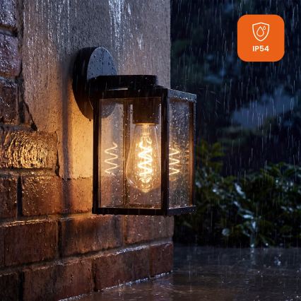 Outdoor wall lamp 1xE27/25W/230V IP54 black