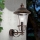 Outdoor wall lamp KENZO 1xE27/100W/230V IP44 bronze/patina