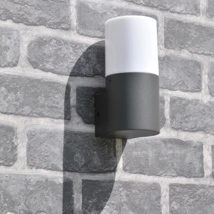 Outdoor wall light DALLAS 1xE27/12W/230V IP44 anthracite